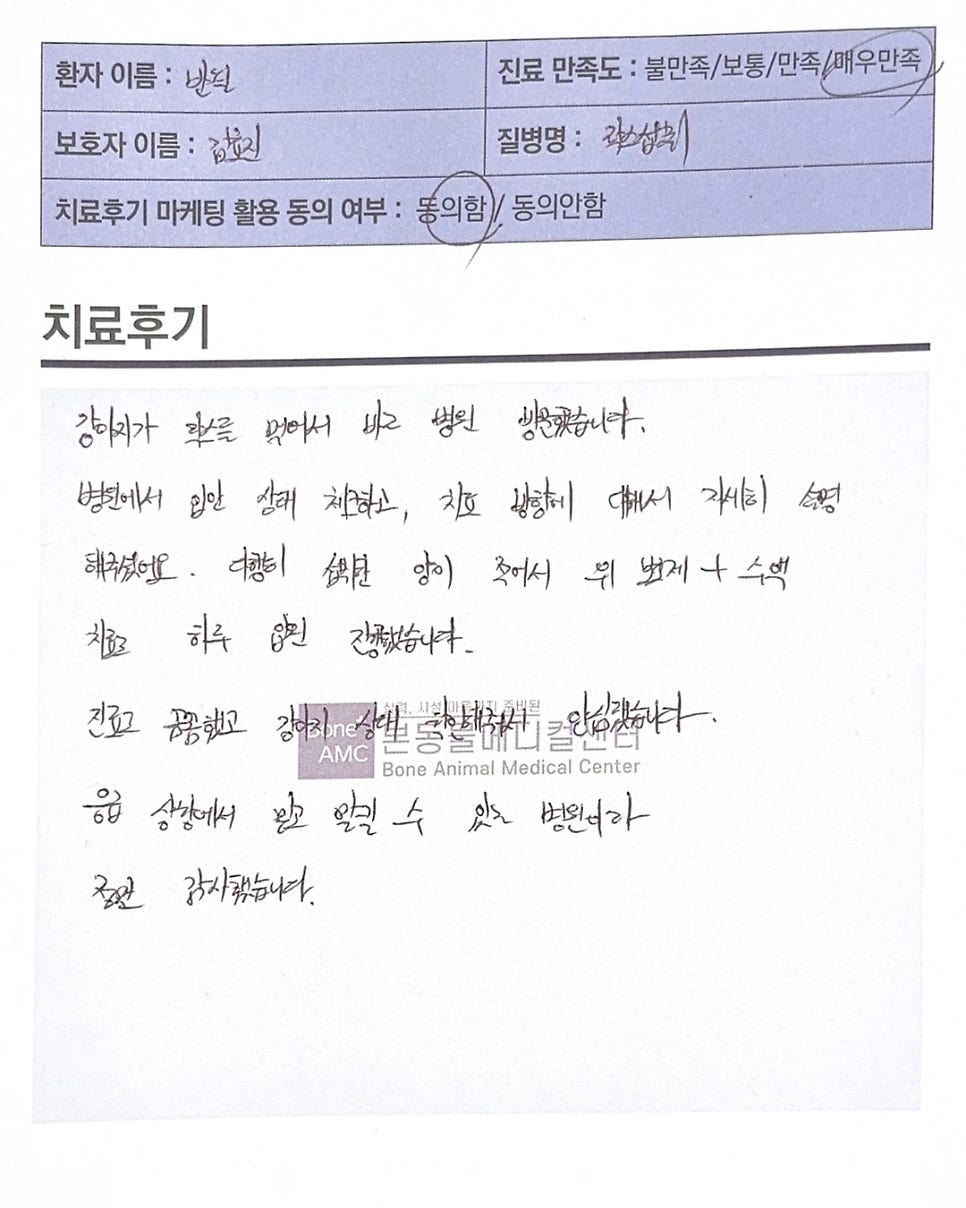 강아지 락스 섭취, 대구 본동물메디컬센터 응급치료 후기 — 사진 4