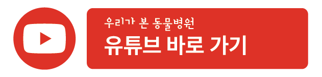 강아지 락스 섭취, 대구 본동물메디컬센터 응급치료 후기 — 사진 14