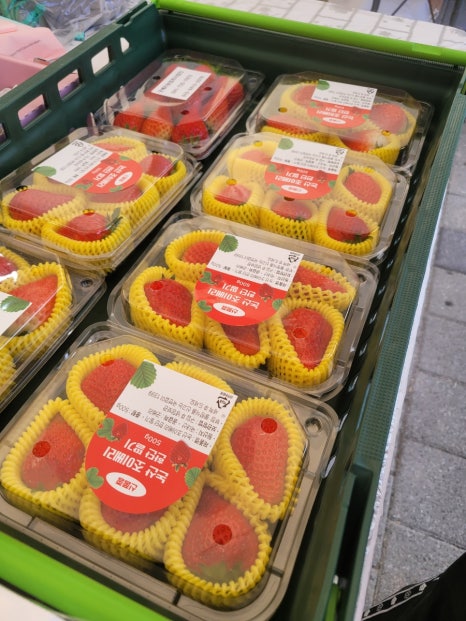 신선한 논산 딸기