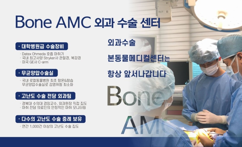 강아지 락스 섭취, 대구 본동물메디컬센터 응급치료 후기 — 사진 8