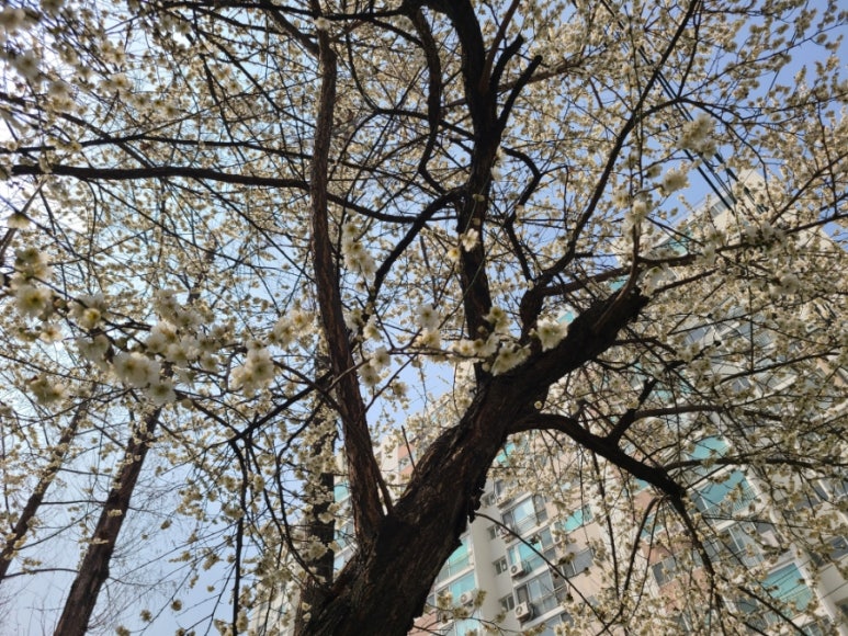 미소야 잠실본점 사진 5