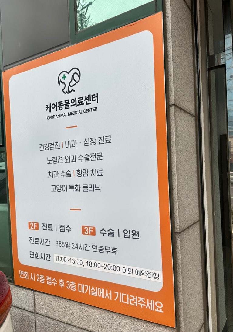 9살 강아지 종합검진 후기: 대구 수성구 케어동물의료센터 비용 및 결과 — 사진 2