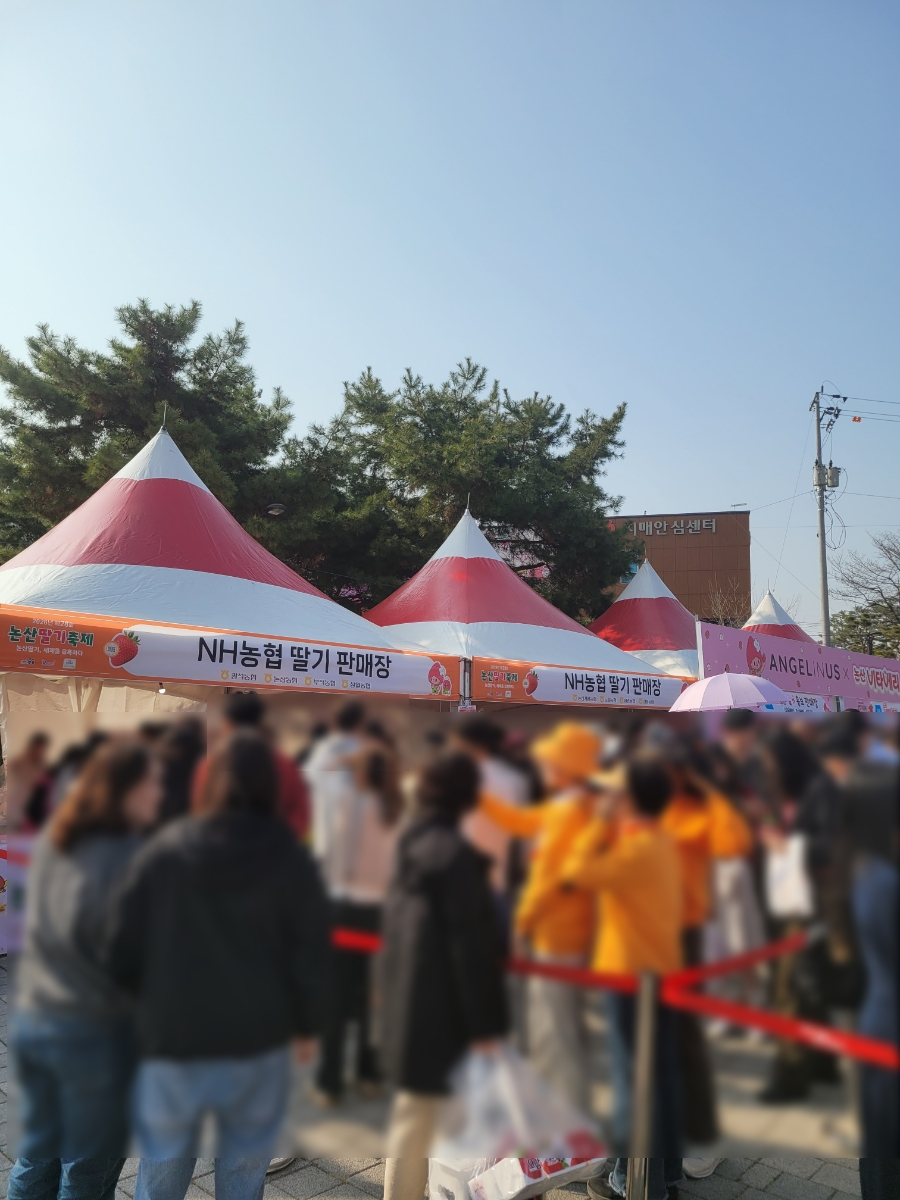 딸기 따기 썸네일