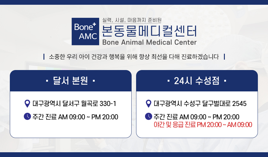 강아지 락스 섭취, 대구 본동물메디컬센터 응급치료 후기 — 사진 10