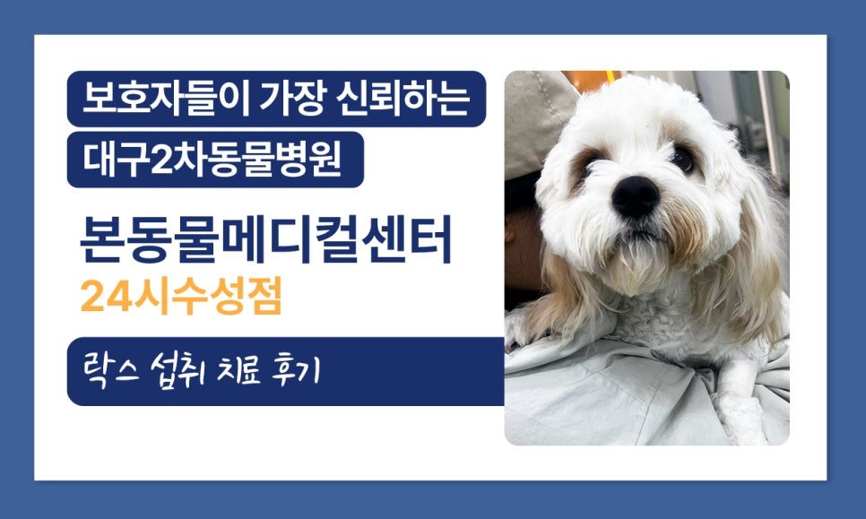 강아지 락스 섭취, 대구 본동물메디컬센터 응급치료 후기 — 사진 2