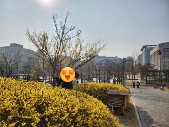 고메이플레이스 연세대고를샘점 사진 4