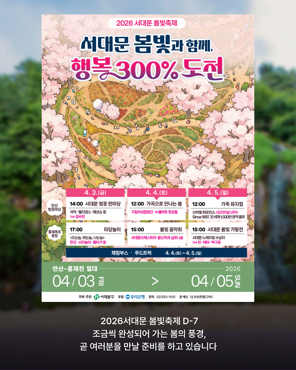 브로콜리 지역정보 관련 사진 5