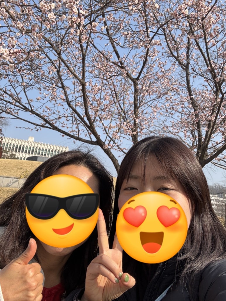 고메이플레이스 연세대고를샘점 사진 8