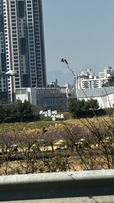 녹담샤브 교대점 사진 6