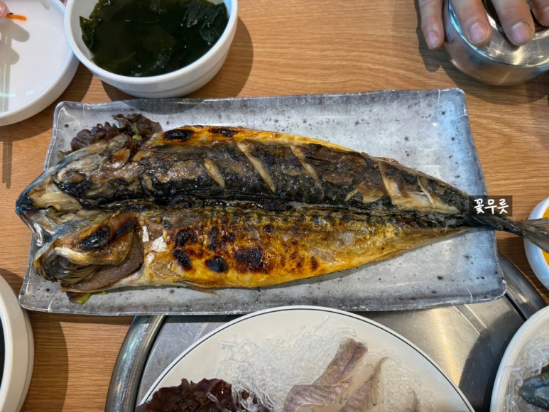 속초오징어어시장 수내점 사진 7