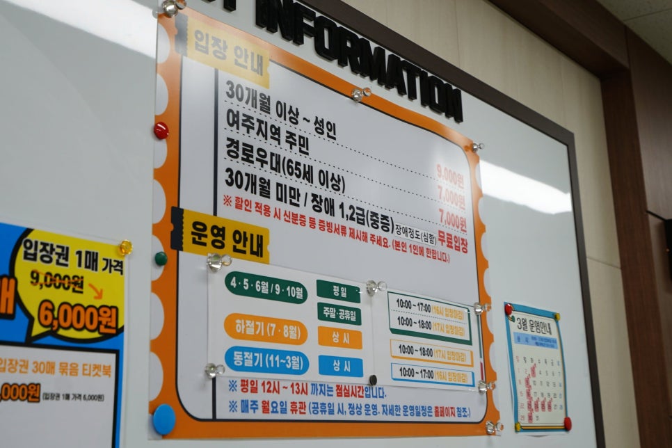 여주 곤충박물관: 아이와 함께하는 신나는 실내 나들이 코스 — 사진 2