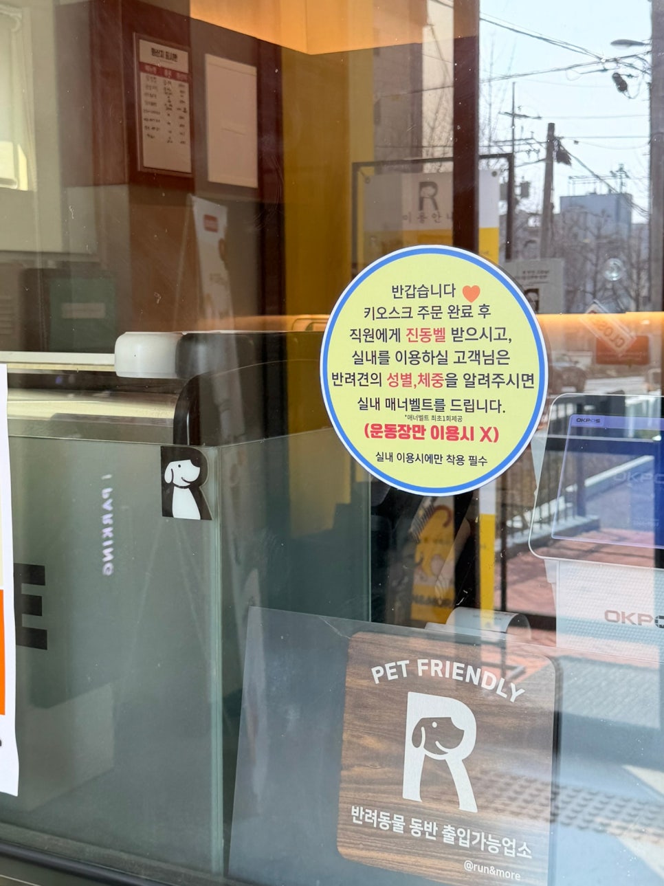 수원 애견카페 런앤모어, 천연잔디 운동장 후기 — 사진 19