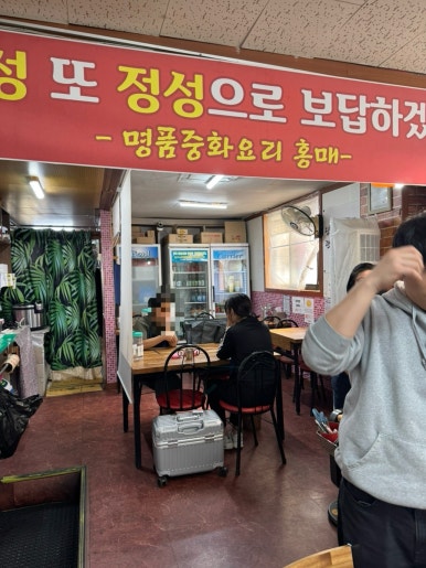 홍매 사진 4