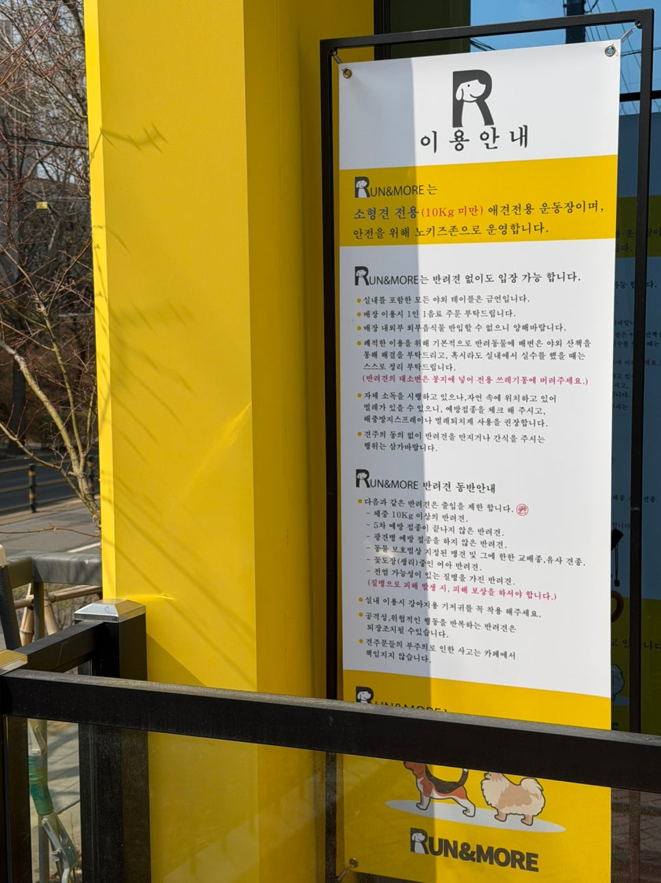 수원 애견카페 런앤모어, 천연잔디 운동장 후기 — 사진 7