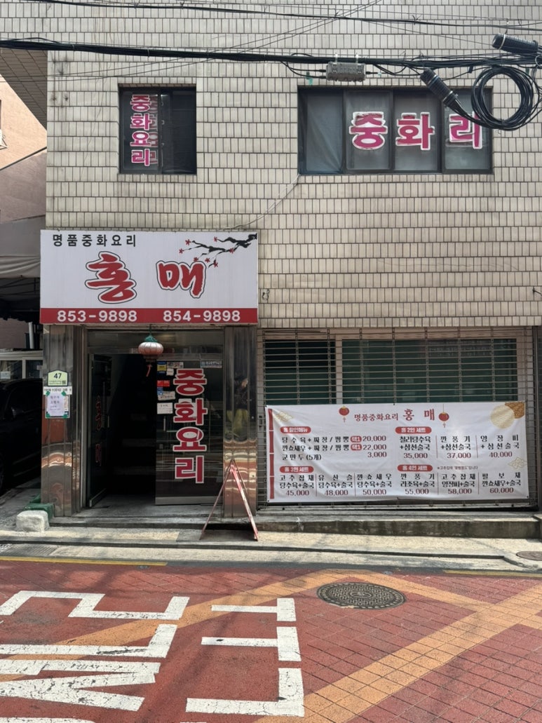 홍매 사진 8