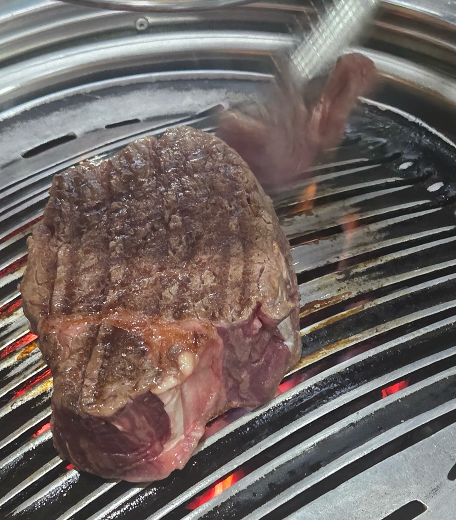 신씨고집 사진 5