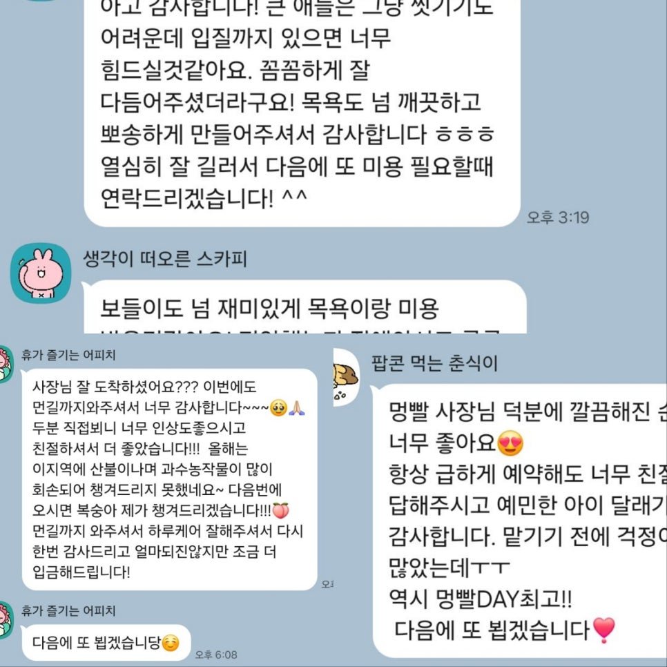 대형견 출장 미용 & 목욕, 멍빨DAY로 스트레스 없이! — 사진 19