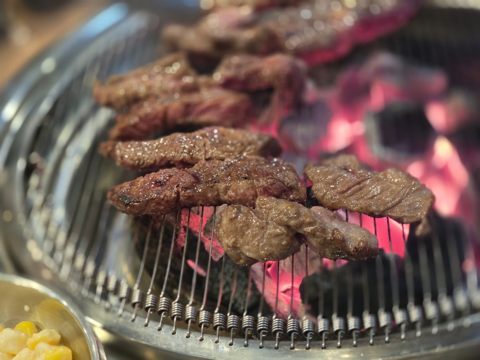 검은꽃소 사진 3