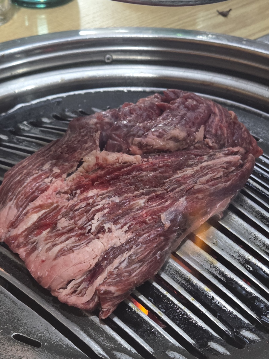 신씨고집 사진 4