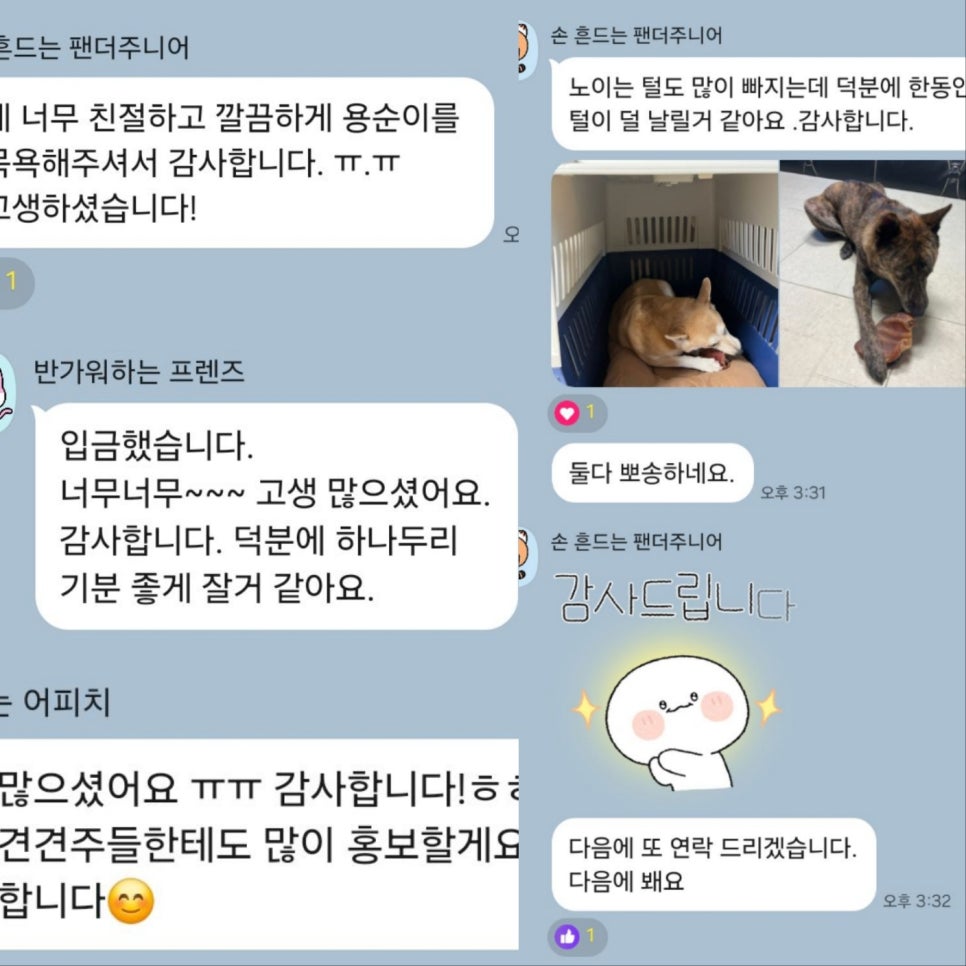 대형견 출장 미용 & 목욕, 멍빨DAY로 스트레스 없이! — 사진 20