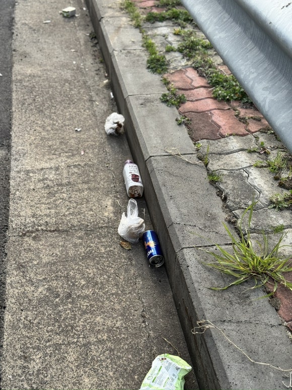 탐나국 사진 7