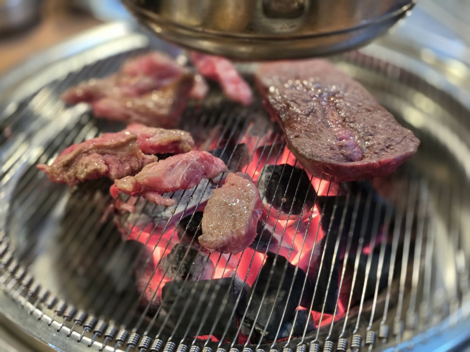 검은꽃소 사진 5