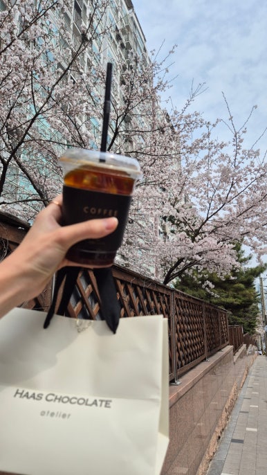 하스초콜릿아뜰리에 사진 5