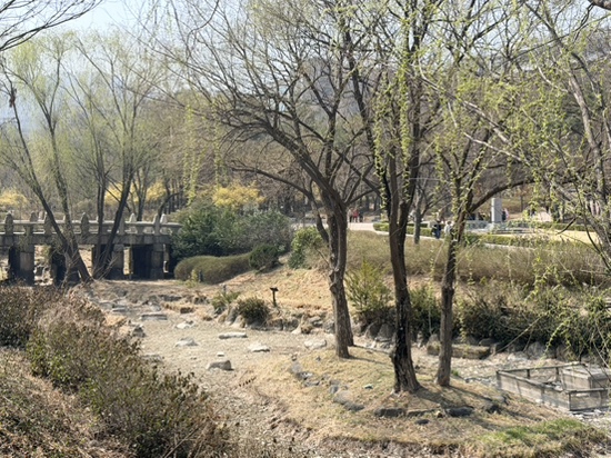 N버거 사진 8