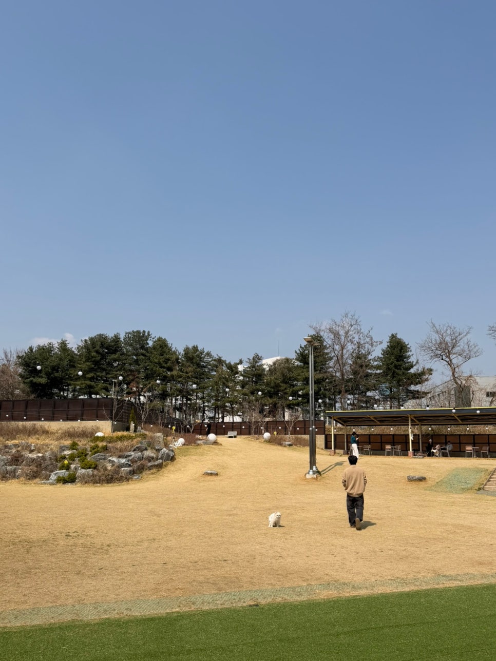 수원 애견카페 런앤모어, 천연잔디 운동장 후기 — 사진 2