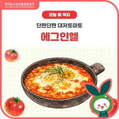 단짠단짠 대저토마토🍅에그인헬 바로가기