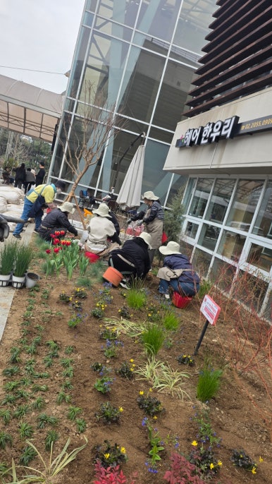 담미온 사진 2