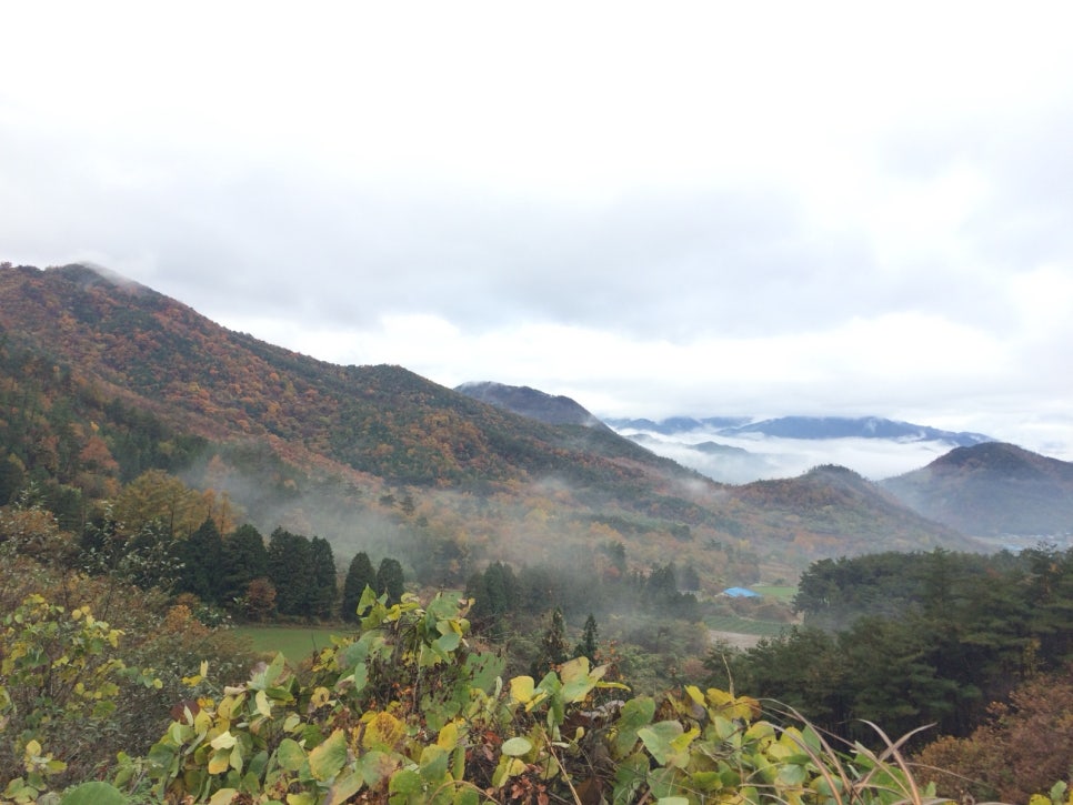 The Akyang plain in Hadong spread out below mist-covered mountains