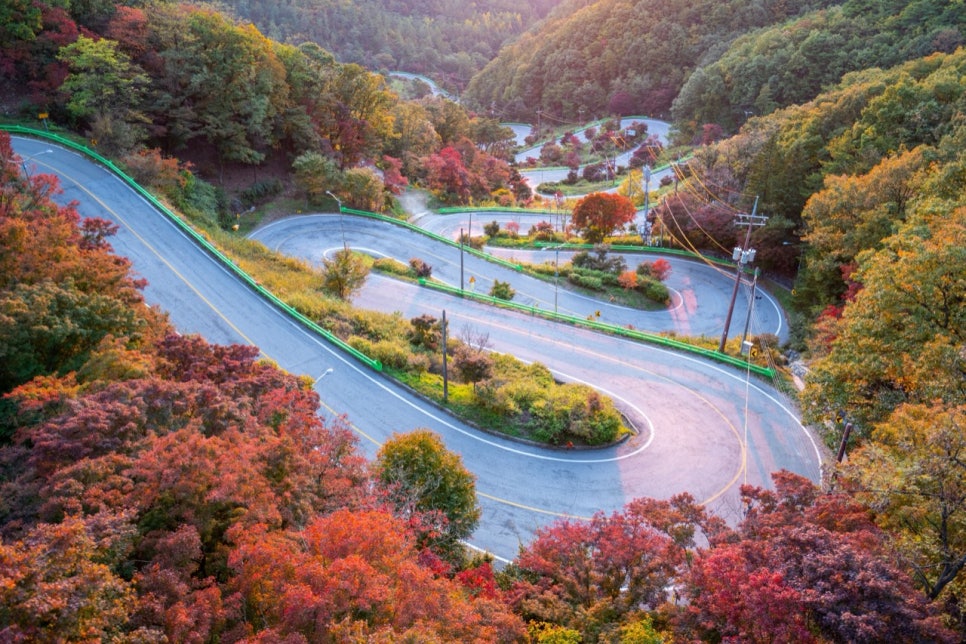 단풍 든 산비탈을 열두 굽이로 감아 오르는 보은 말티재 도로를 하늘에서 본 모습