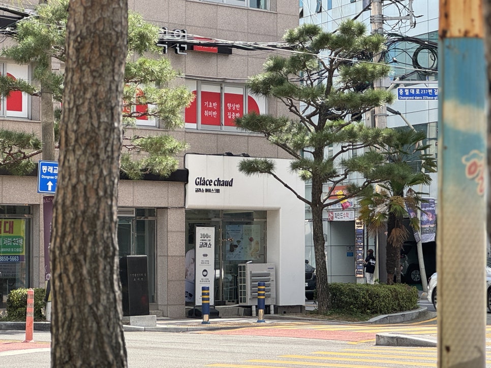 Dva Types 부산 카페 :: 동래 디저트 맛집 글라쇼 동래점 수제 젤라또 더블컵 포장 솔직후기 🍨 : 네이버 블로그