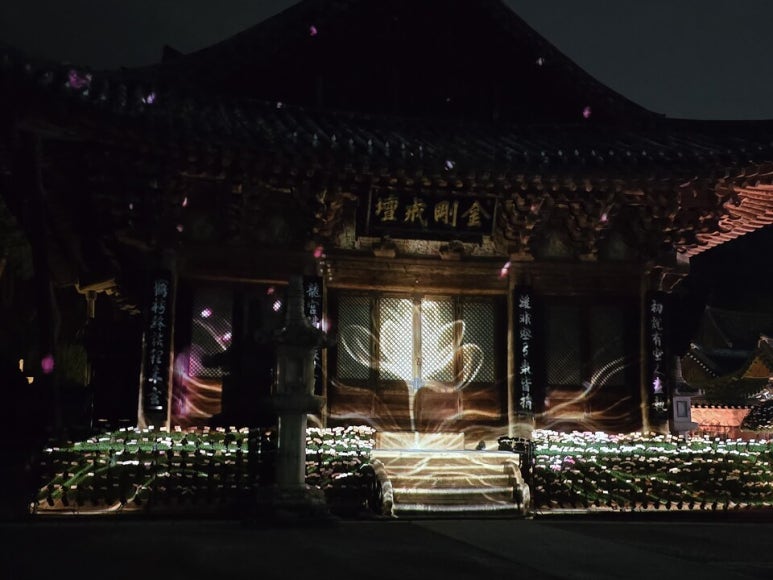 A large lotus image projected onto the front of a temple hall under a dark night sky