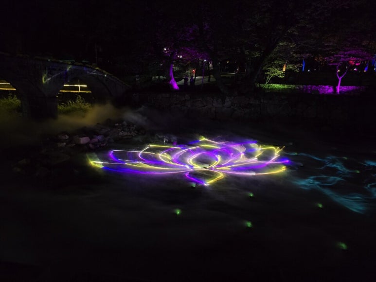 Light projected in the shape of a flower on a dark ground