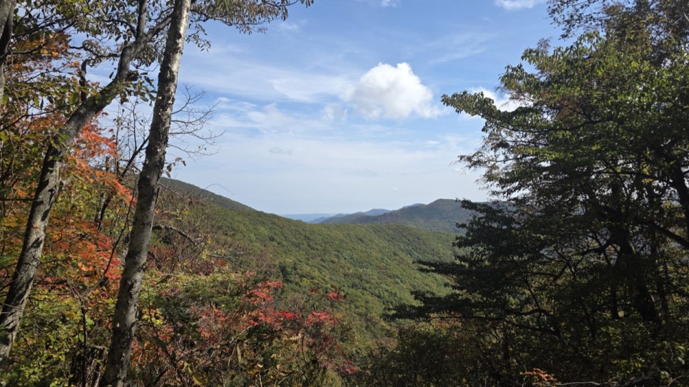 Red autumn leaves spreading along a high Odaesan ridge