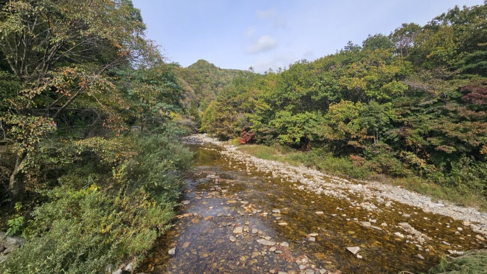 Clear water running over rocks in the Odaecheon stream near the log bridge