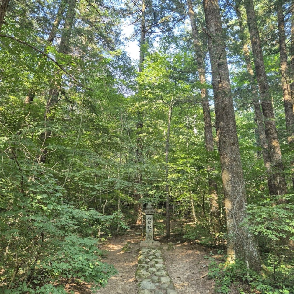 A forest path with a carved marker stone on Odaesan