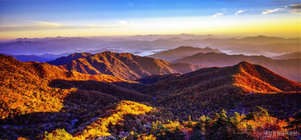 Jirisan's Hwanggeum (golden) ridge in autumn colour