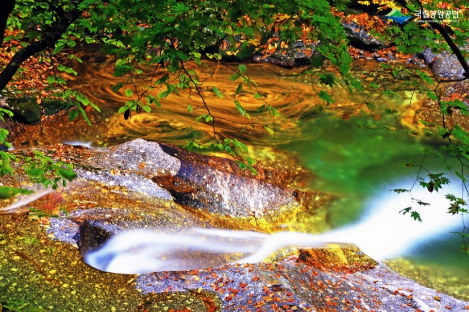 An autumn stream on Jirisan with fallen leaves on the water