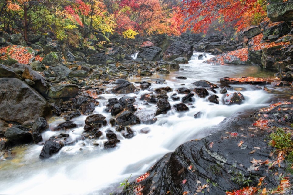 The Piagol stream on Jirisan flowing under red and yellow leaves
