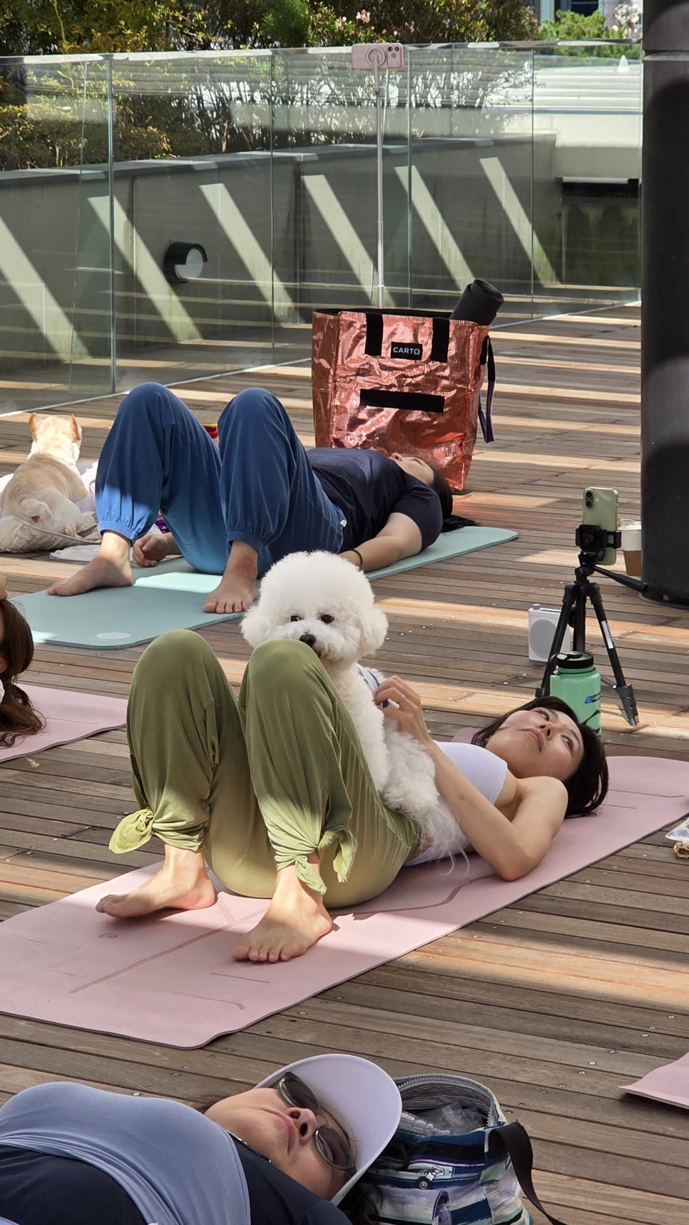 보호자와 반려견이 함께하는 아로마 요가
