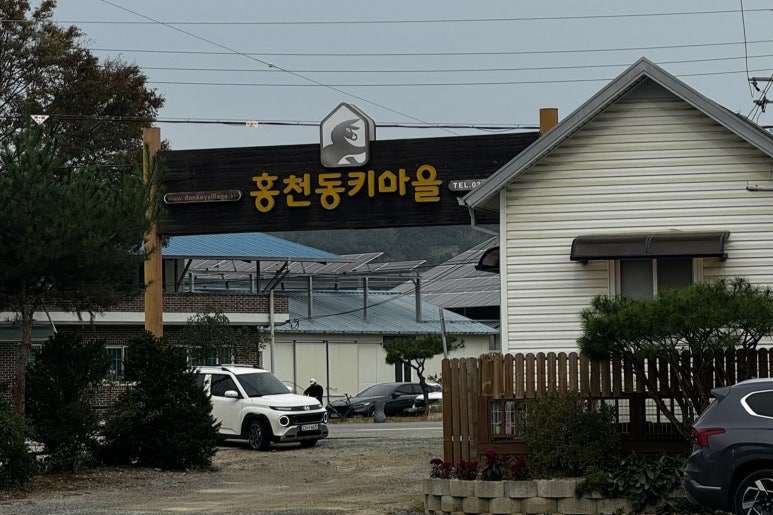 국내 여행 홍천 동키마을 후기 (메밀꽃 축제, 베개 만들기, 비누 만들기) : 네이버 블로그
