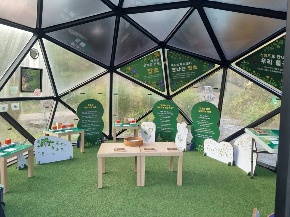Inside the Children's Garden: botanical illustration stands and activity tables set out for the weeds exhibition