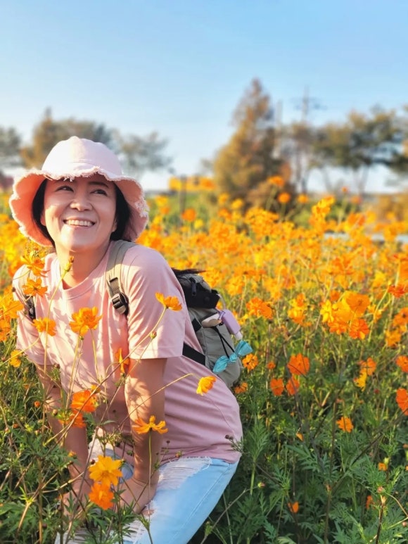 서울 근교 가을 나들이 추천_ 코스모스 명소, 고양시 가을 나들이 명소, 산책하기 좋은 숨은 명소, 뚜벅이도 가능한 강매석교공원 ...