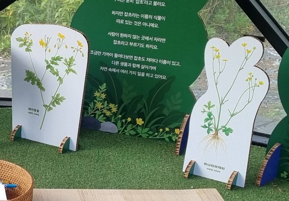 세밀화 입간판 두 점과 '잡초는 정말 쓸모없는 풀일까요?'라는 질문 패널