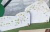 Two botanical illustration stands with plant name labels