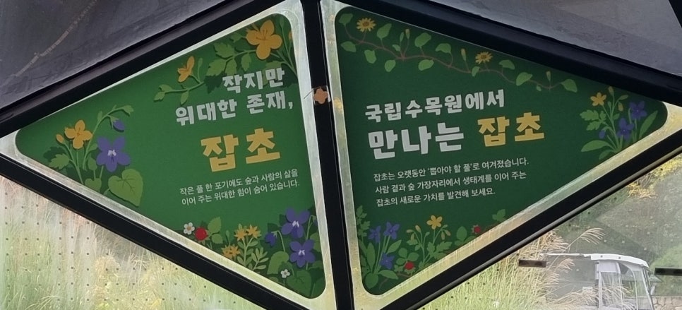 '작지만 위대한 존재, 잡초'라고 적힌 전시 타이틀 패널