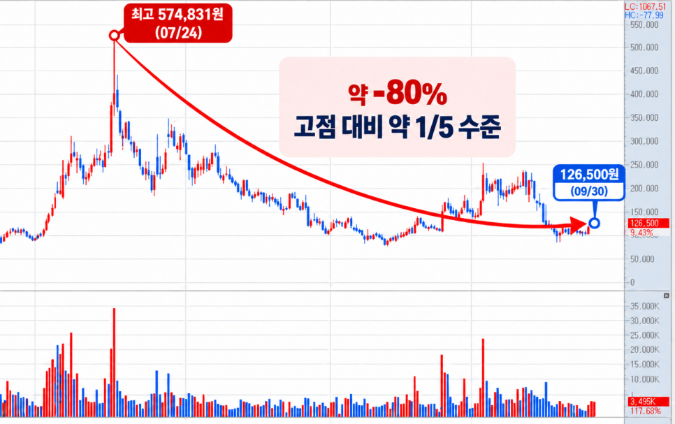 시총 1위 갔던 종목인데... 고점에서 -80% 된 국내주식｜사람들이 걸린 대목은?